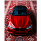 Red BMW M5 Vintage Persian Carpet Aesthetic Frame