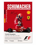 Michael Schumacher F1 Legend Frame